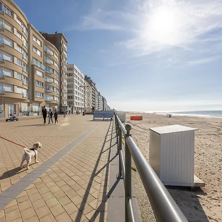 Sunny Seaside Apartment, Cleaning Included *